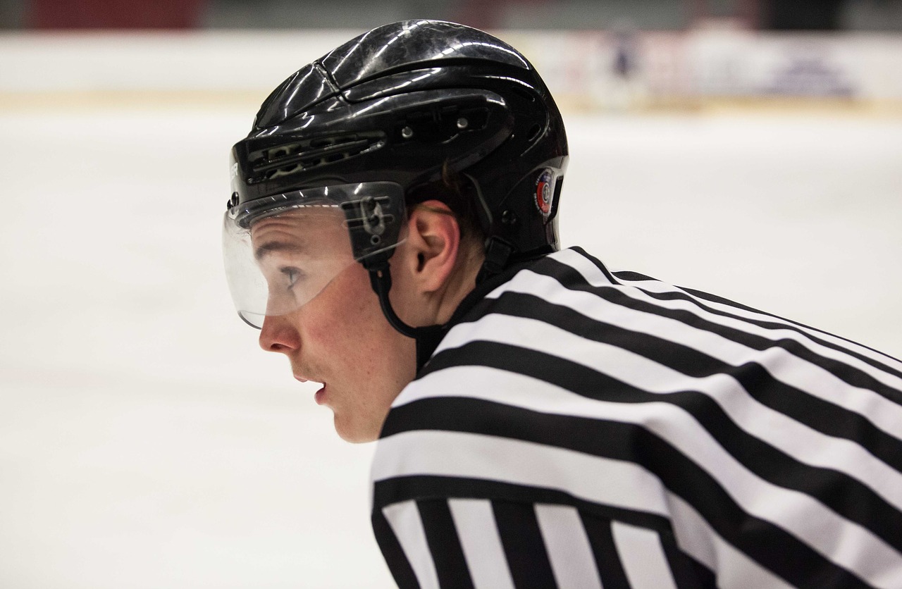 hockey referee game free photo