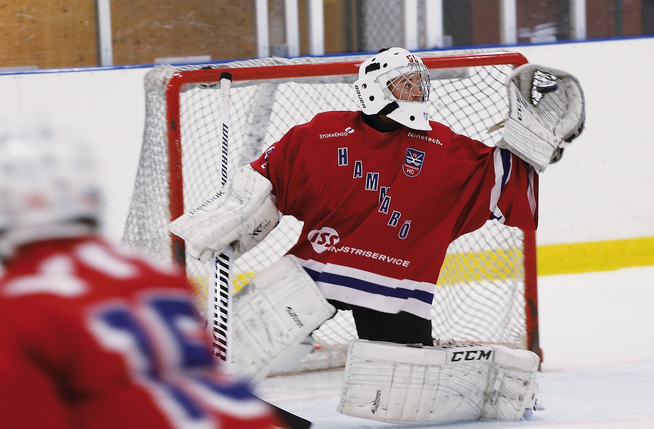 hockey goalkeeper rödtröja free photo