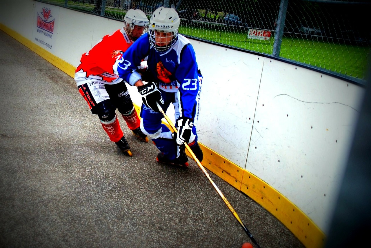 hockey duel play free photo