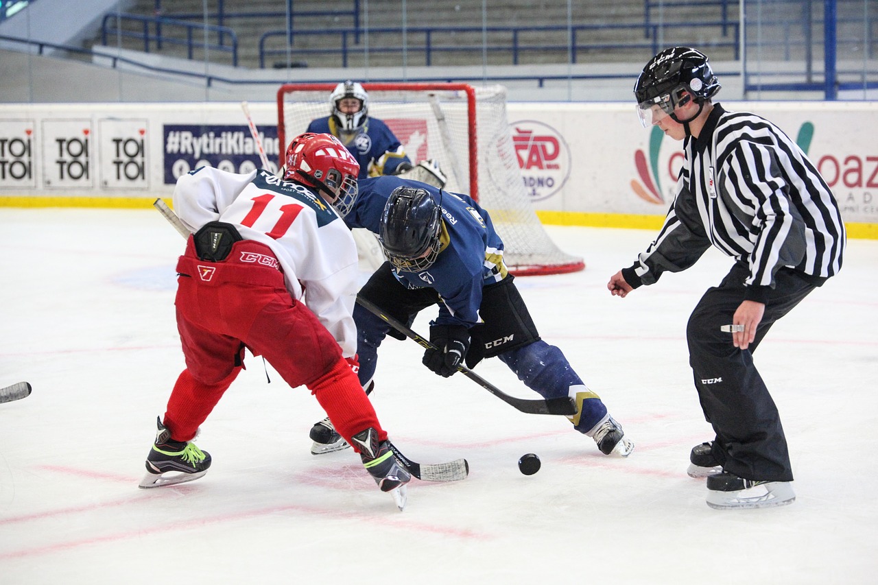 hockey slavia skater free photo