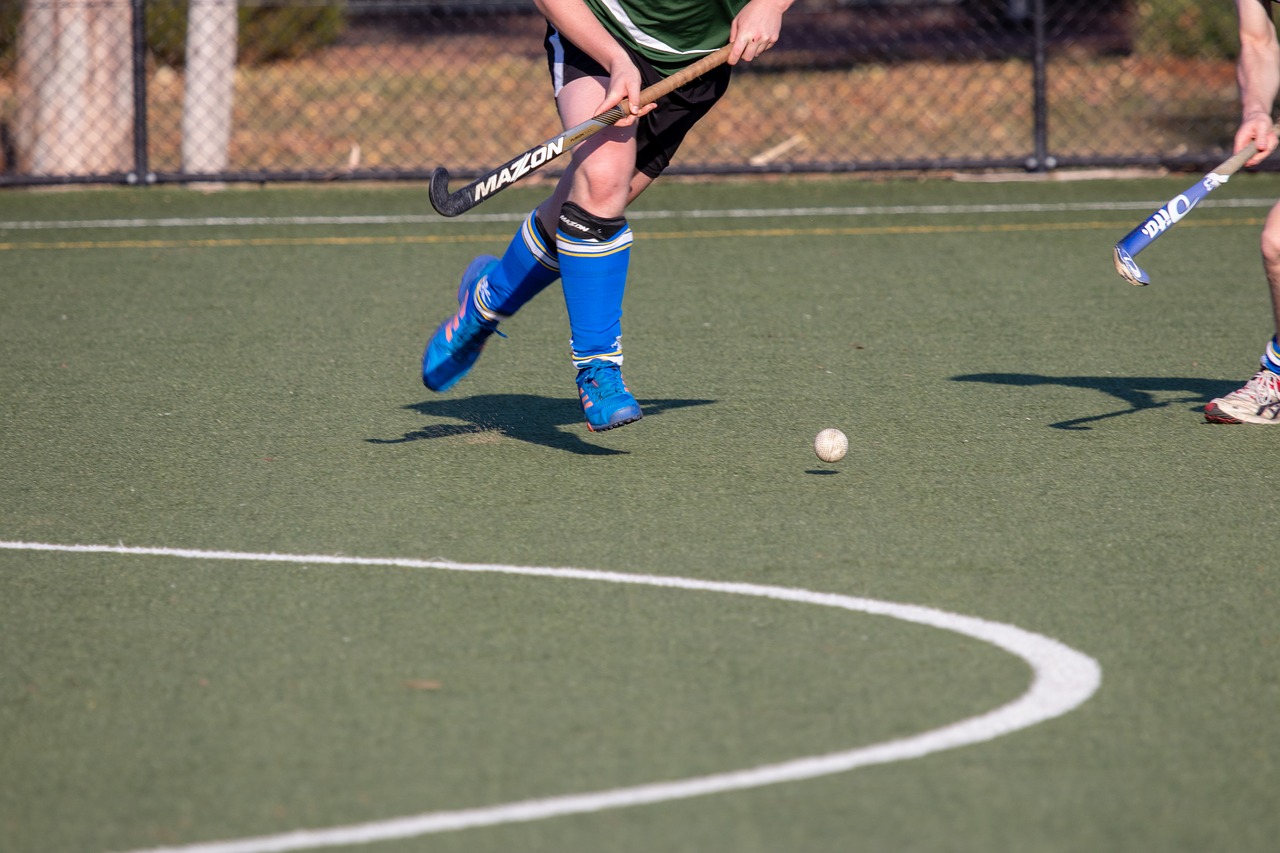 hockey  competition  athlete free photo