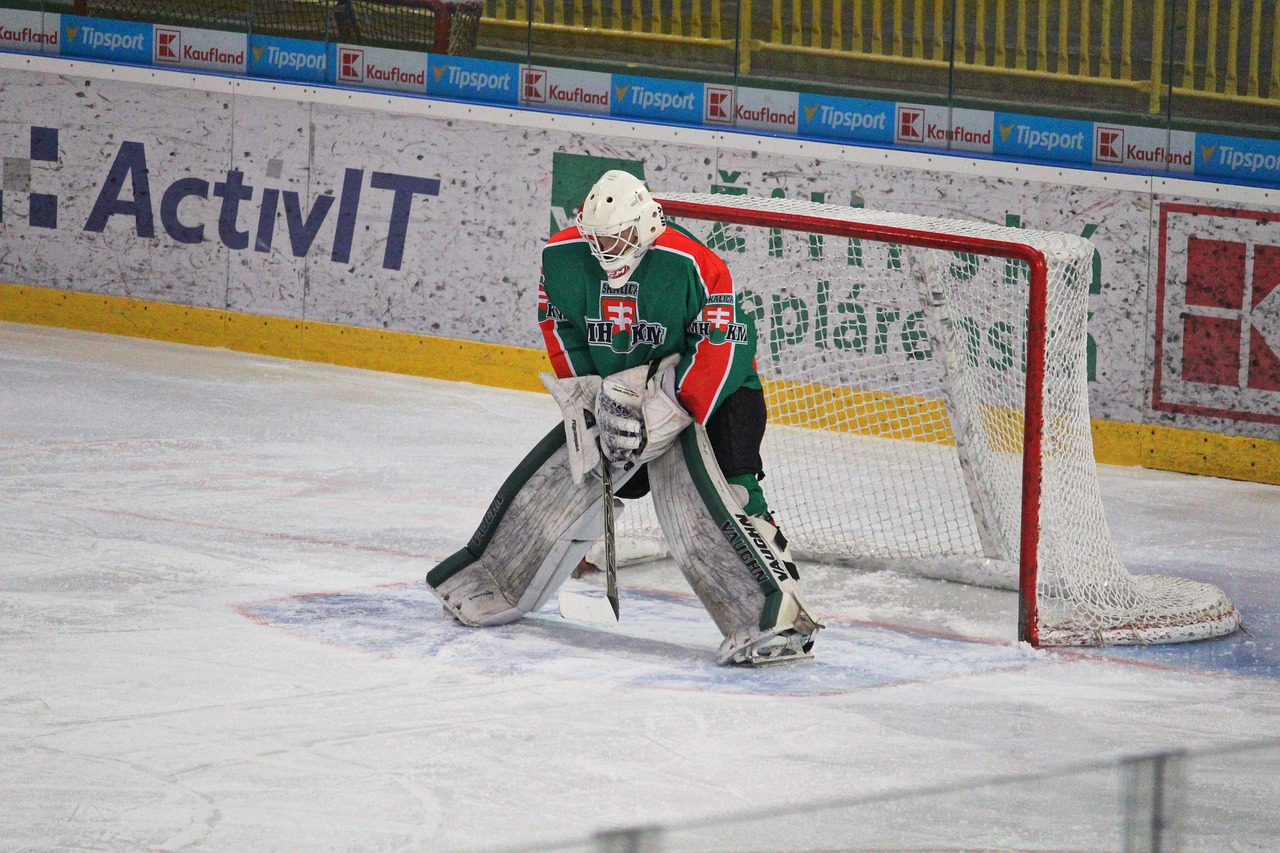 hockey  goalkeeper  mshkm skalica free photo