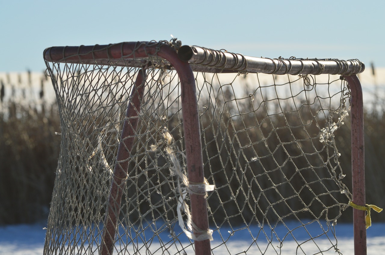 hockey net ice pond free photo