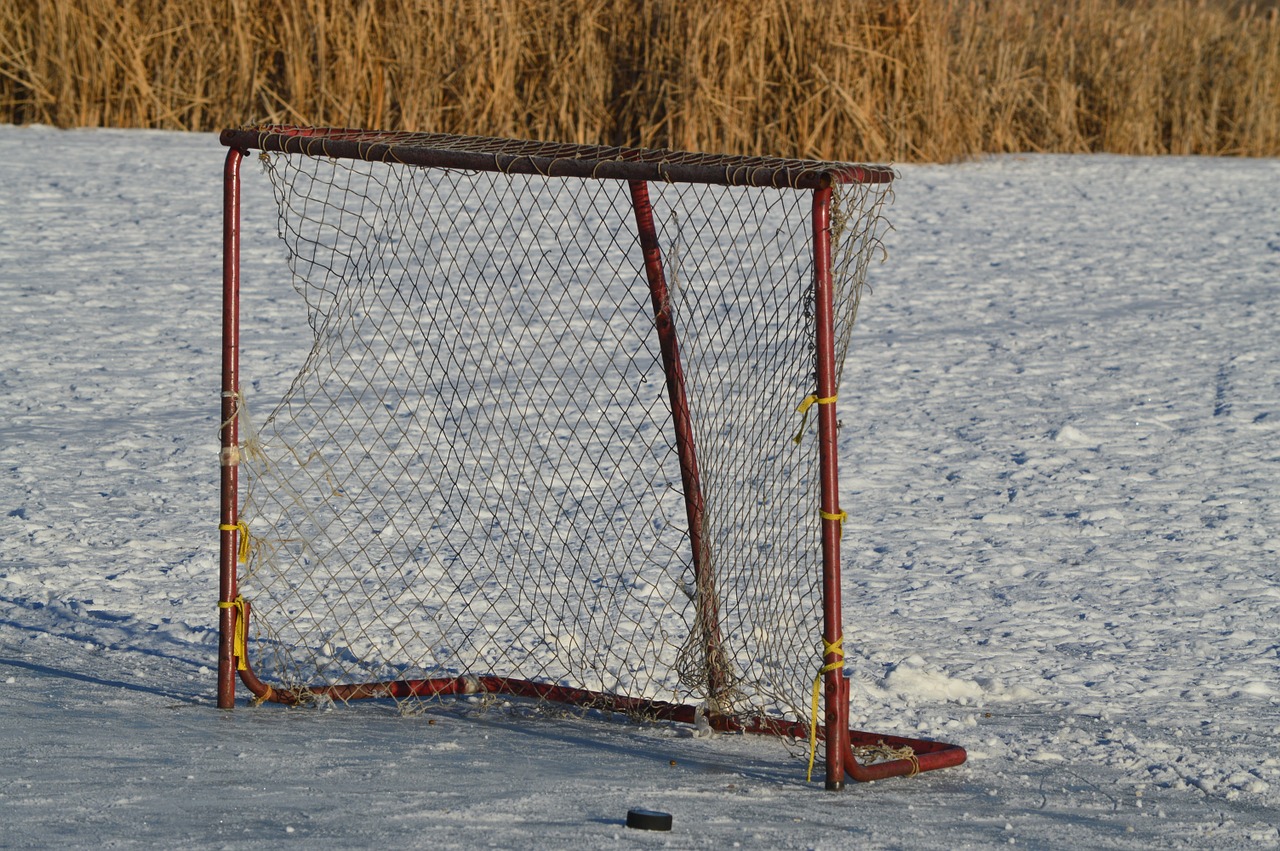 hockey net outdoor puck free photo