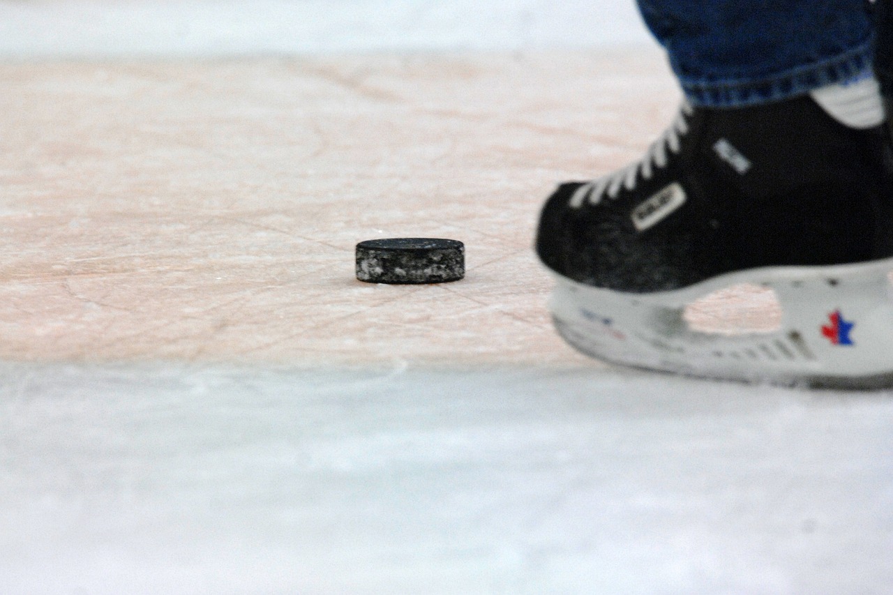 hockey puck skater ice free photo