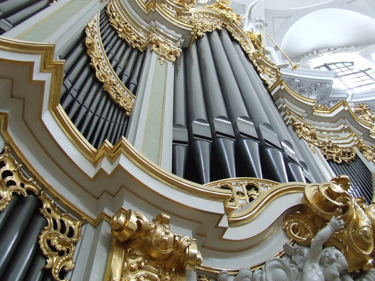 hofkirche dresden organ free photo