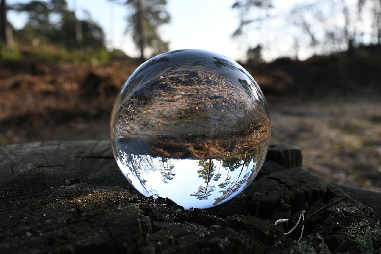 hoge veluwe  nature  glass ball free photo