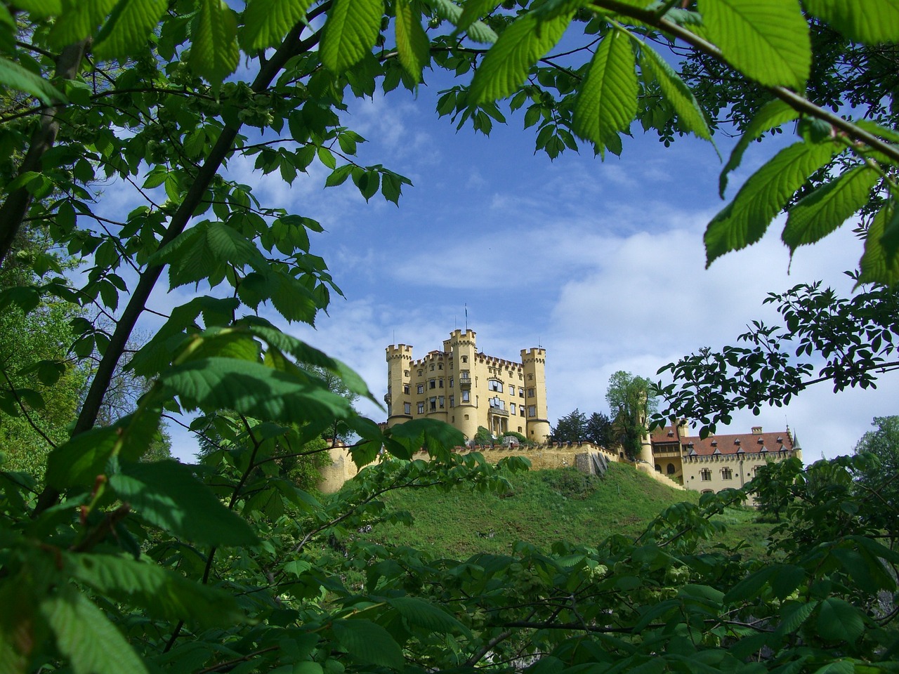 hohenschwangau castle füssen free photo