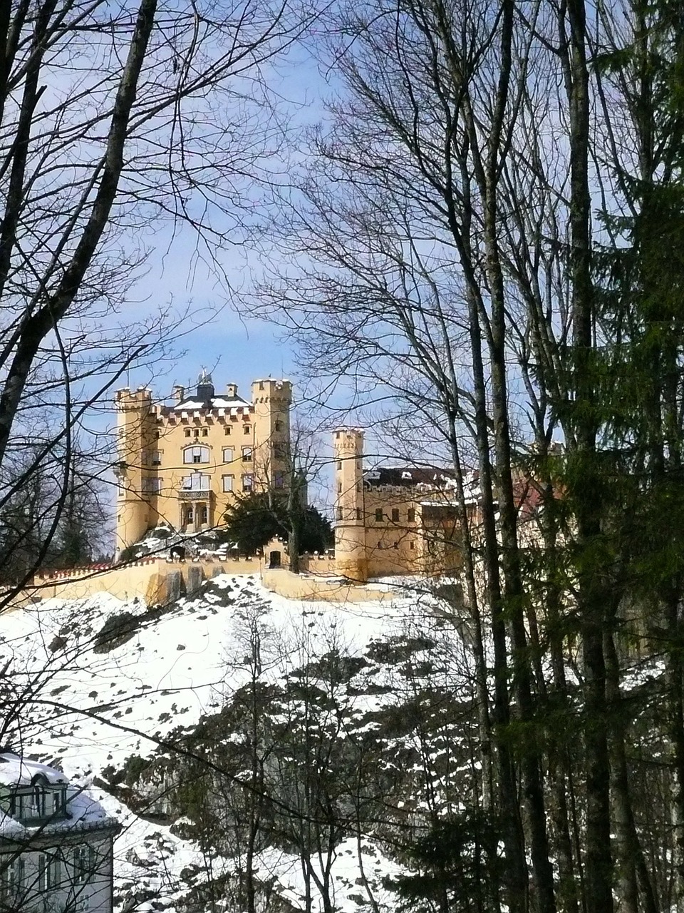 hohenschwangau rock castle free photo