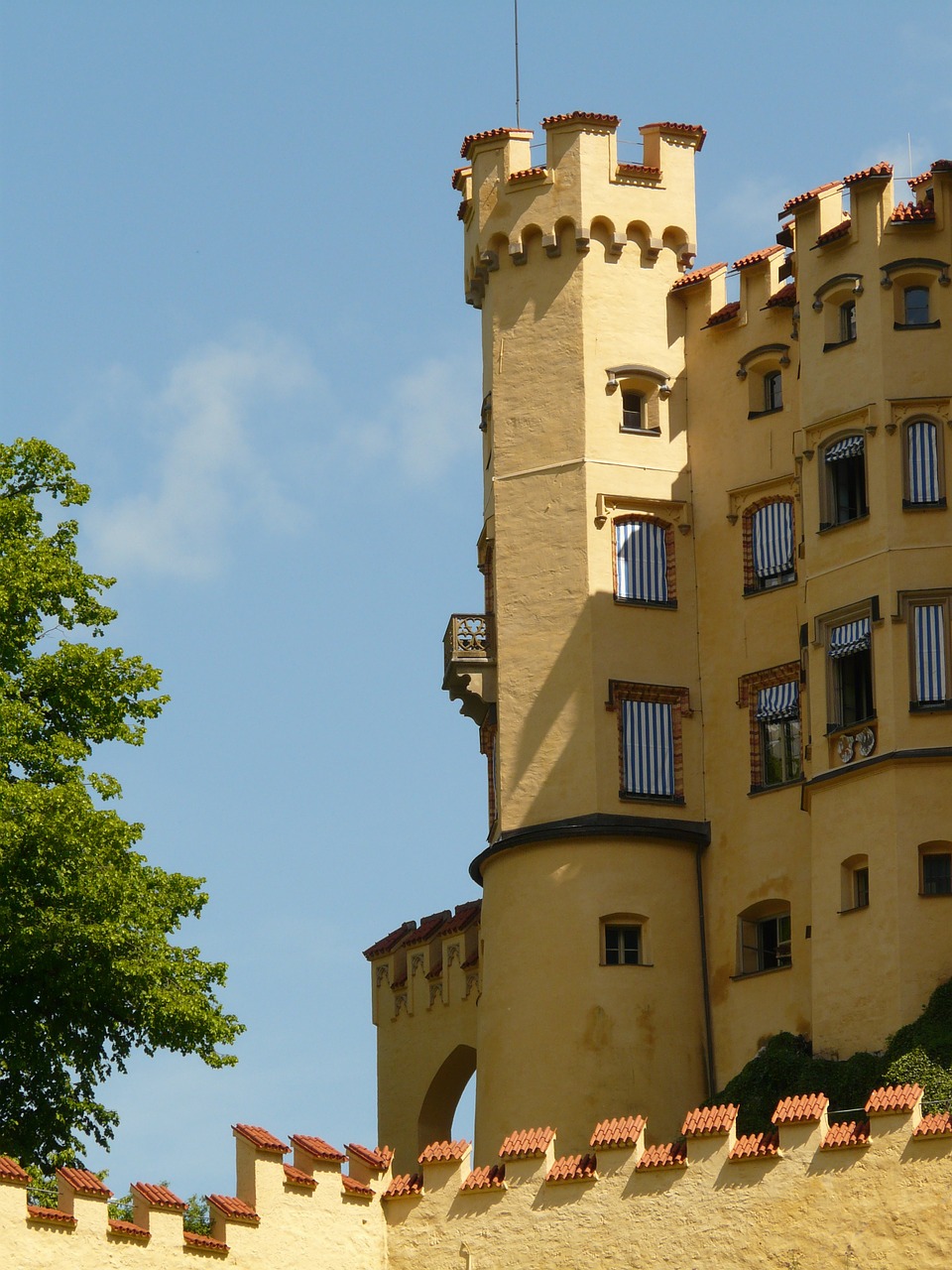 hohenschwangau castle places of interest free photo