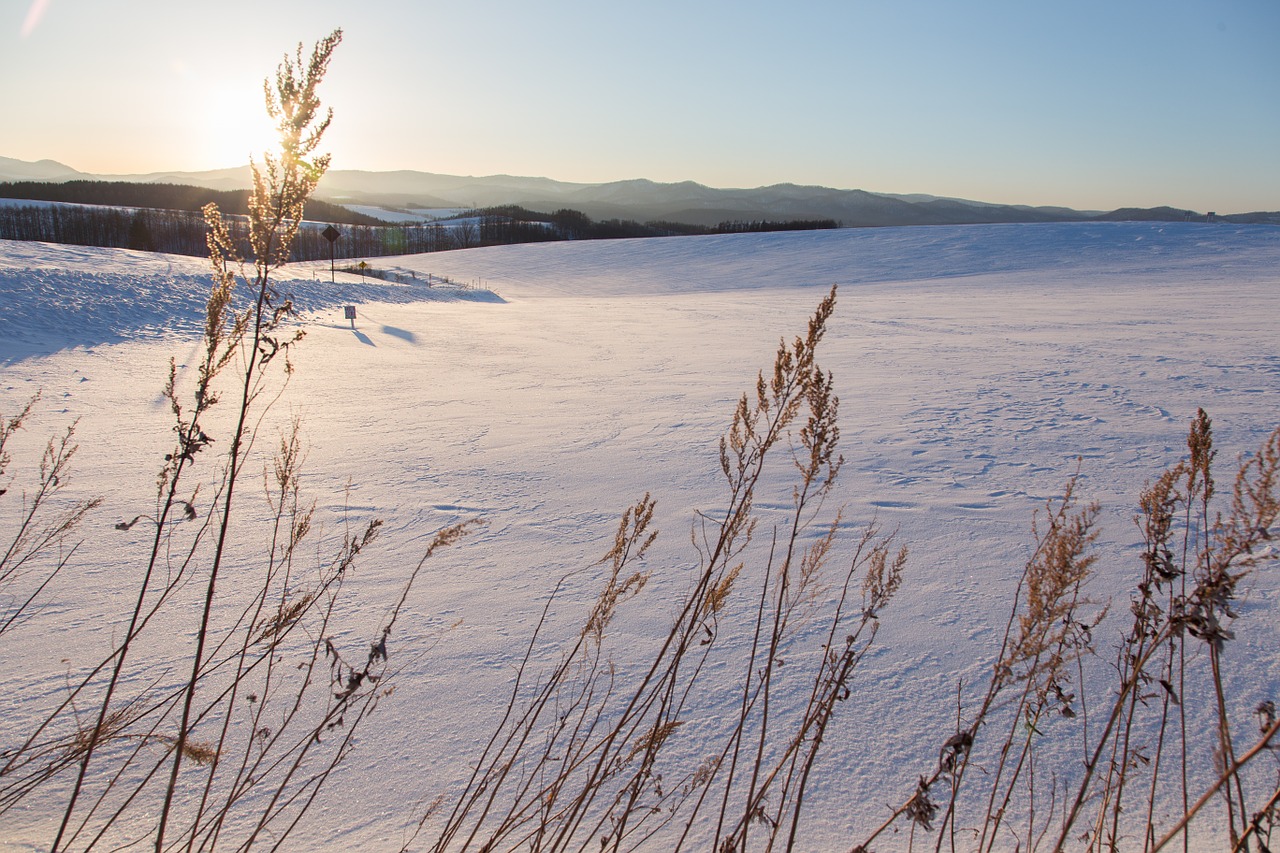 hokaido snow blue sky free photo