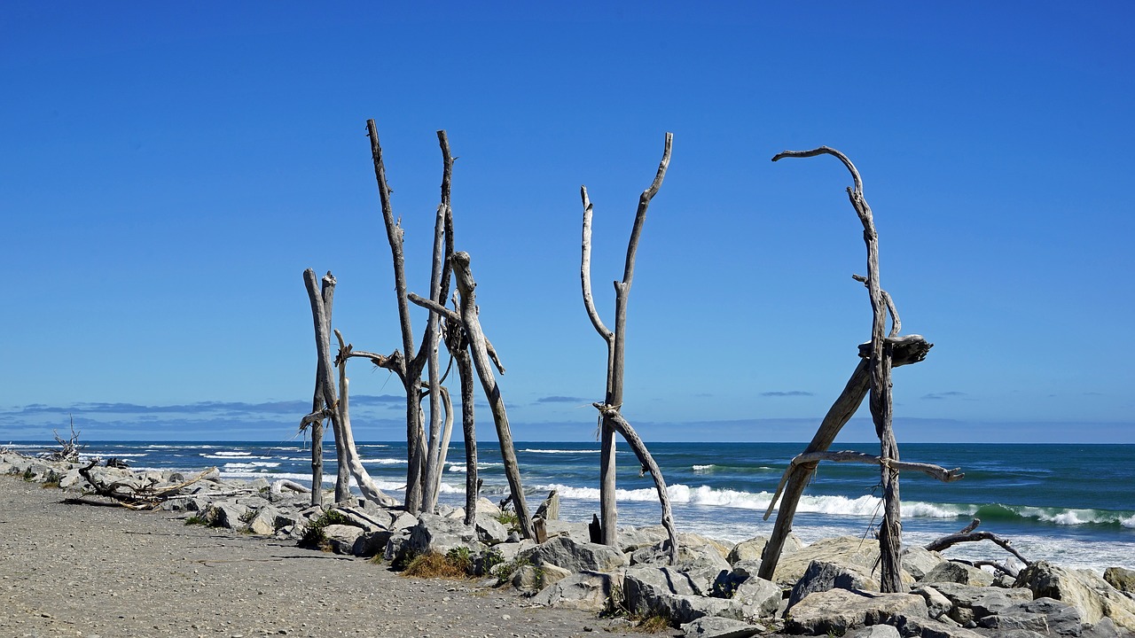 hokitika beach coast beach free photo