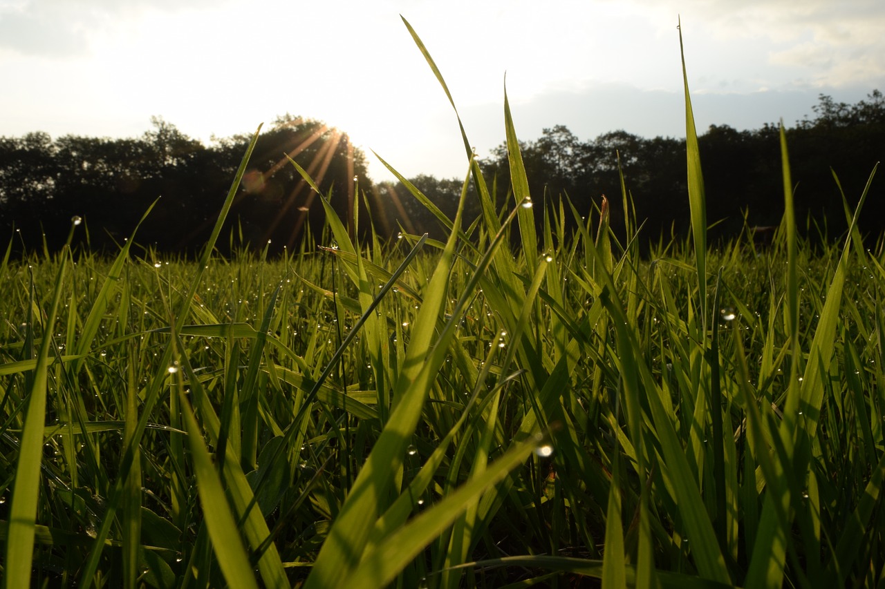 hokkaido natural earth free photo