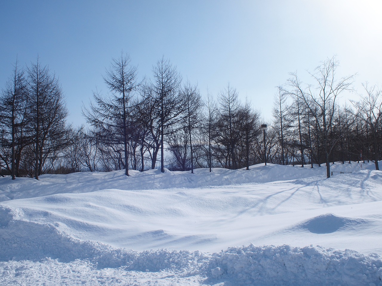 hokkaido snow landscape free photo