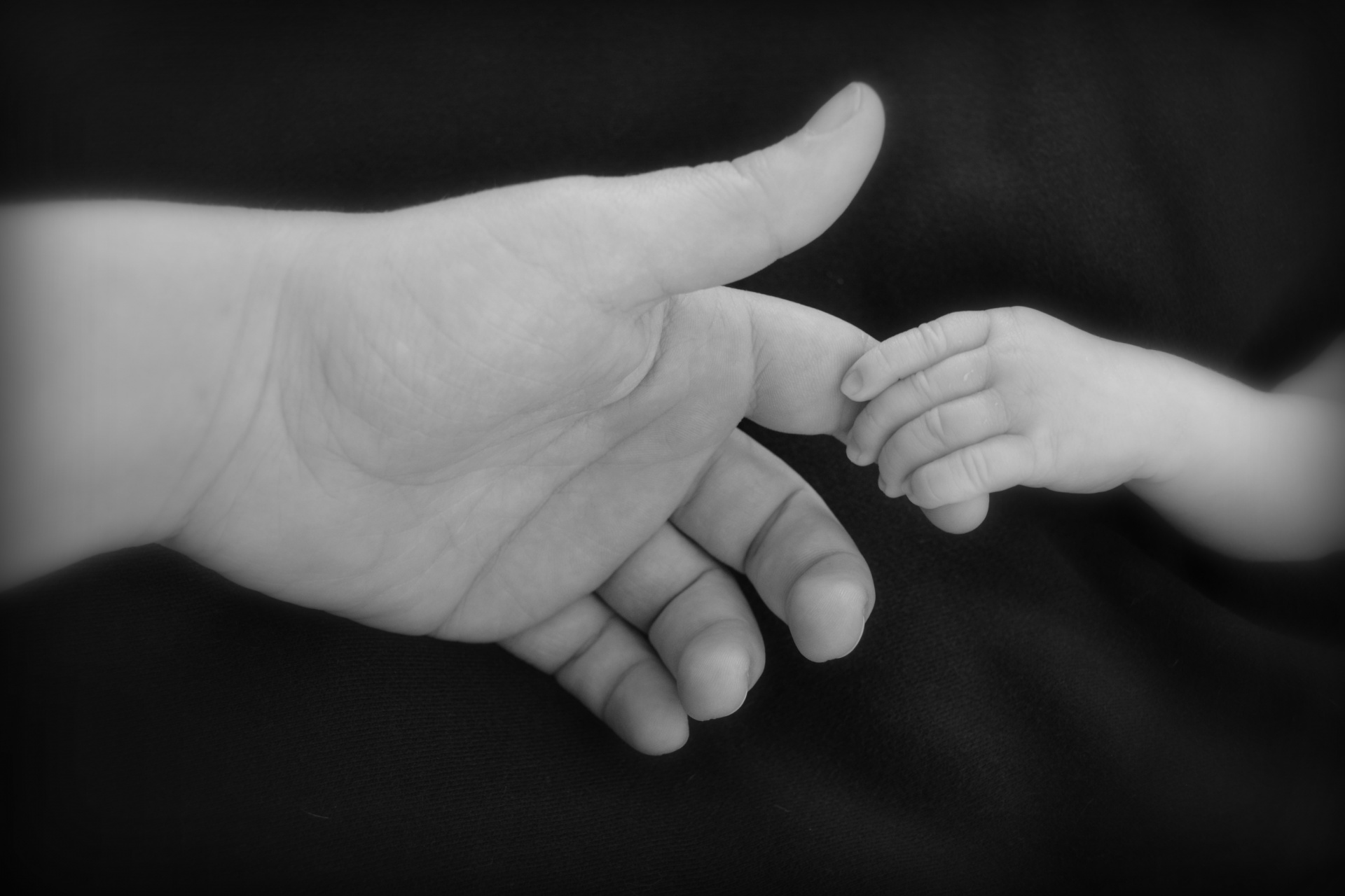 baby mother hands free photo