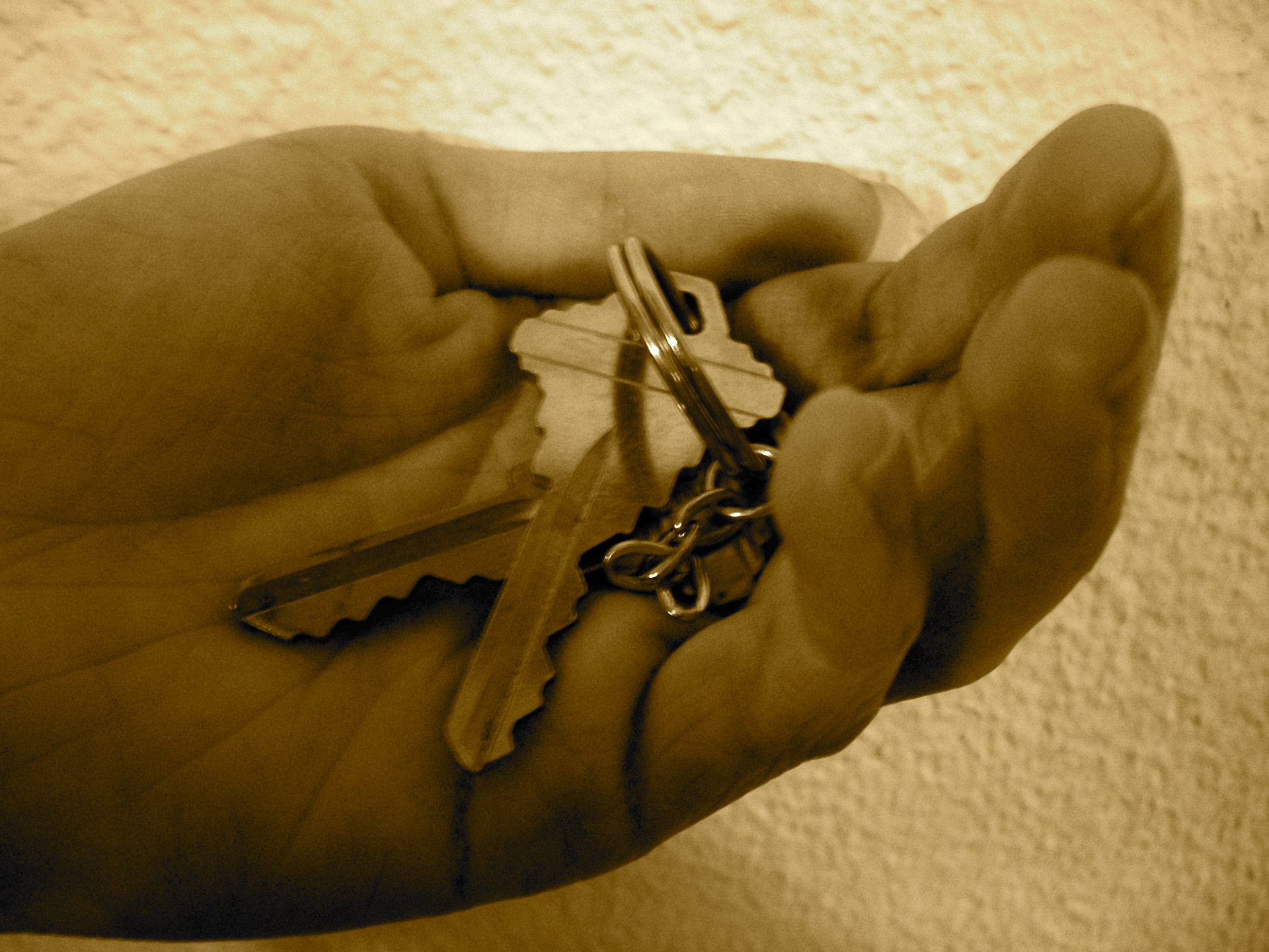 keys key hand free photo