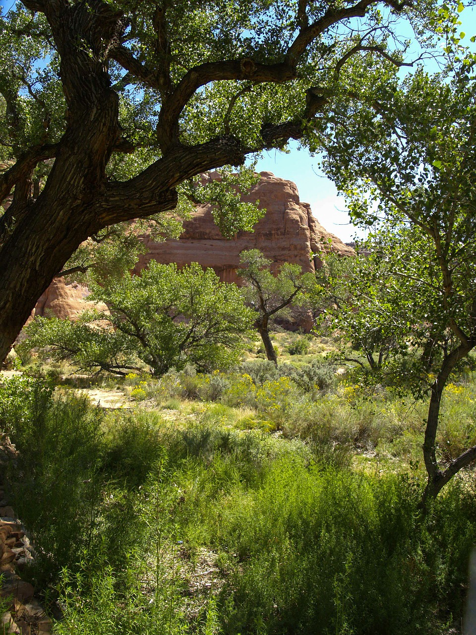 hole in the rock rock formation red free photo