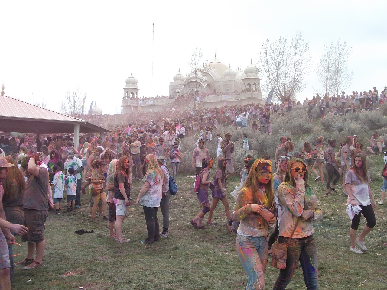 holi indian color free photo