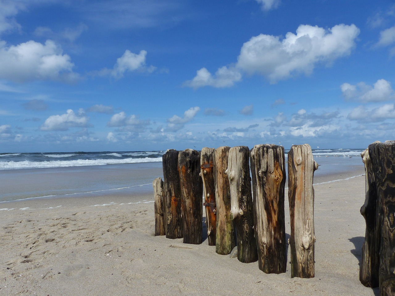 holiday beach sea free photo