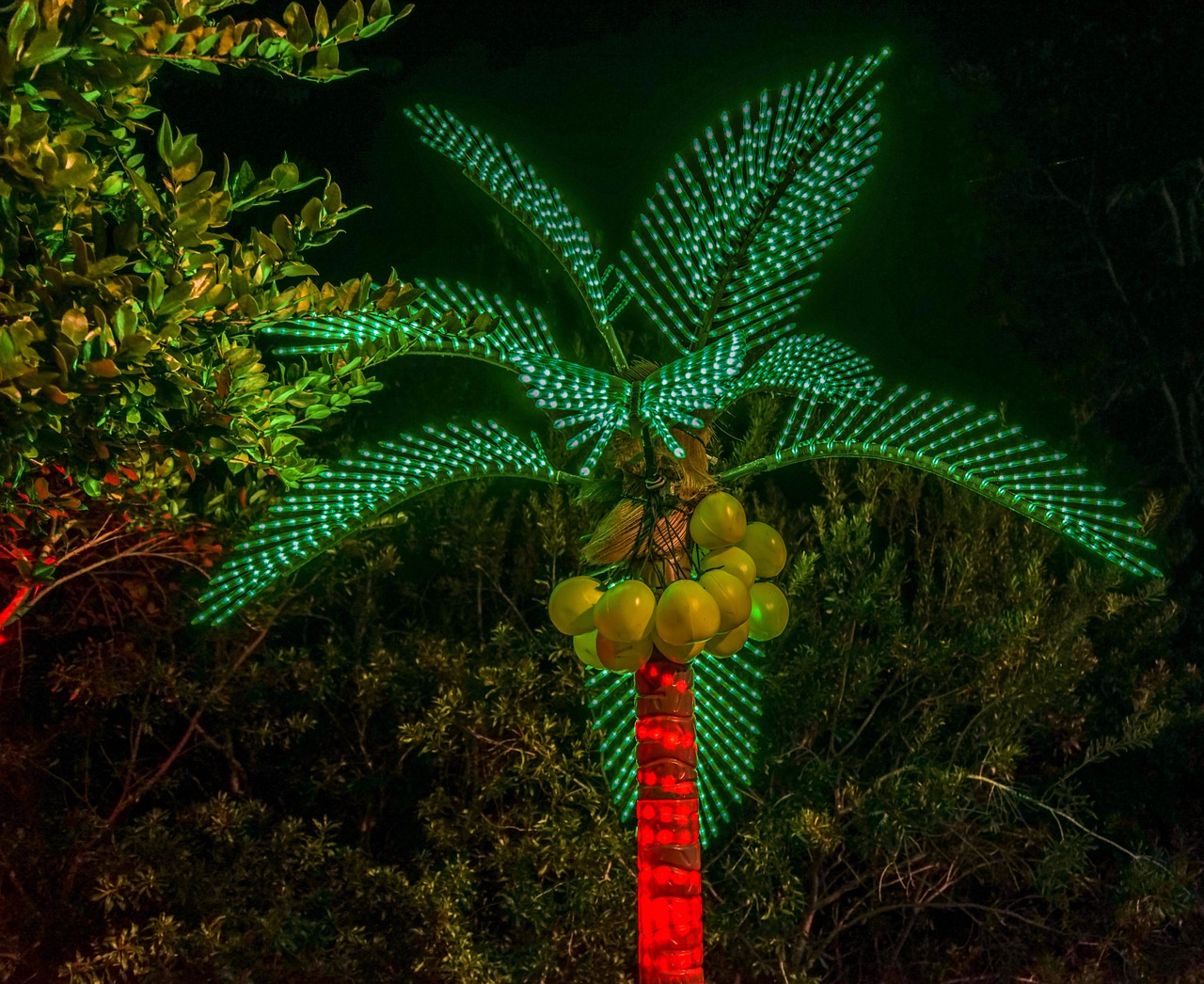 holiday decorations botanical gardens free photo