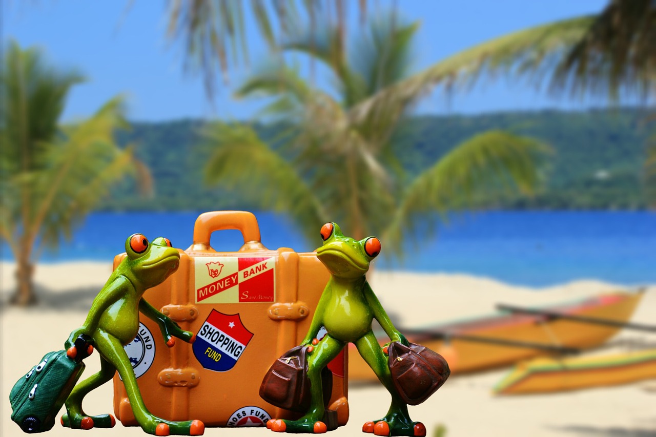 holiday luggage palm trees free photo