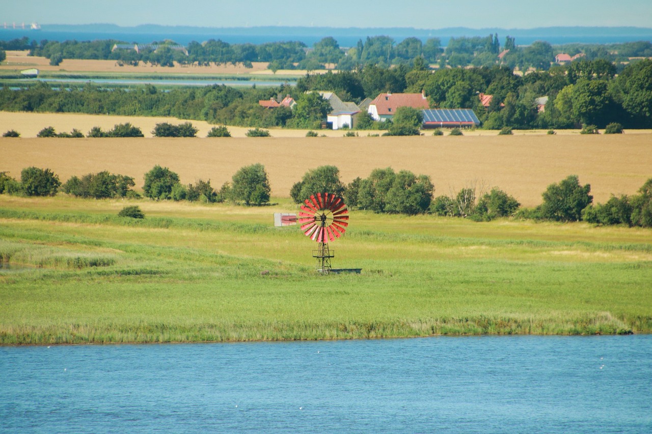 holiday outlook pinwheel free photo