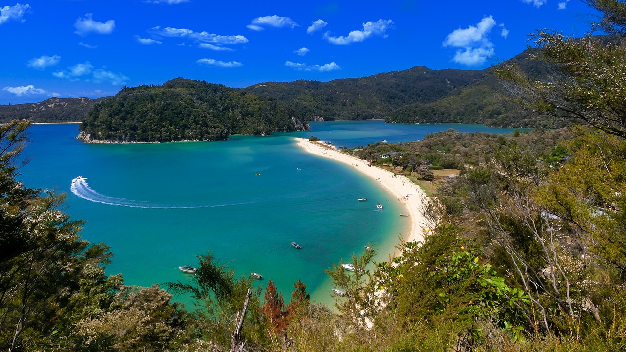 holiday beautiful beach new zealand free photo