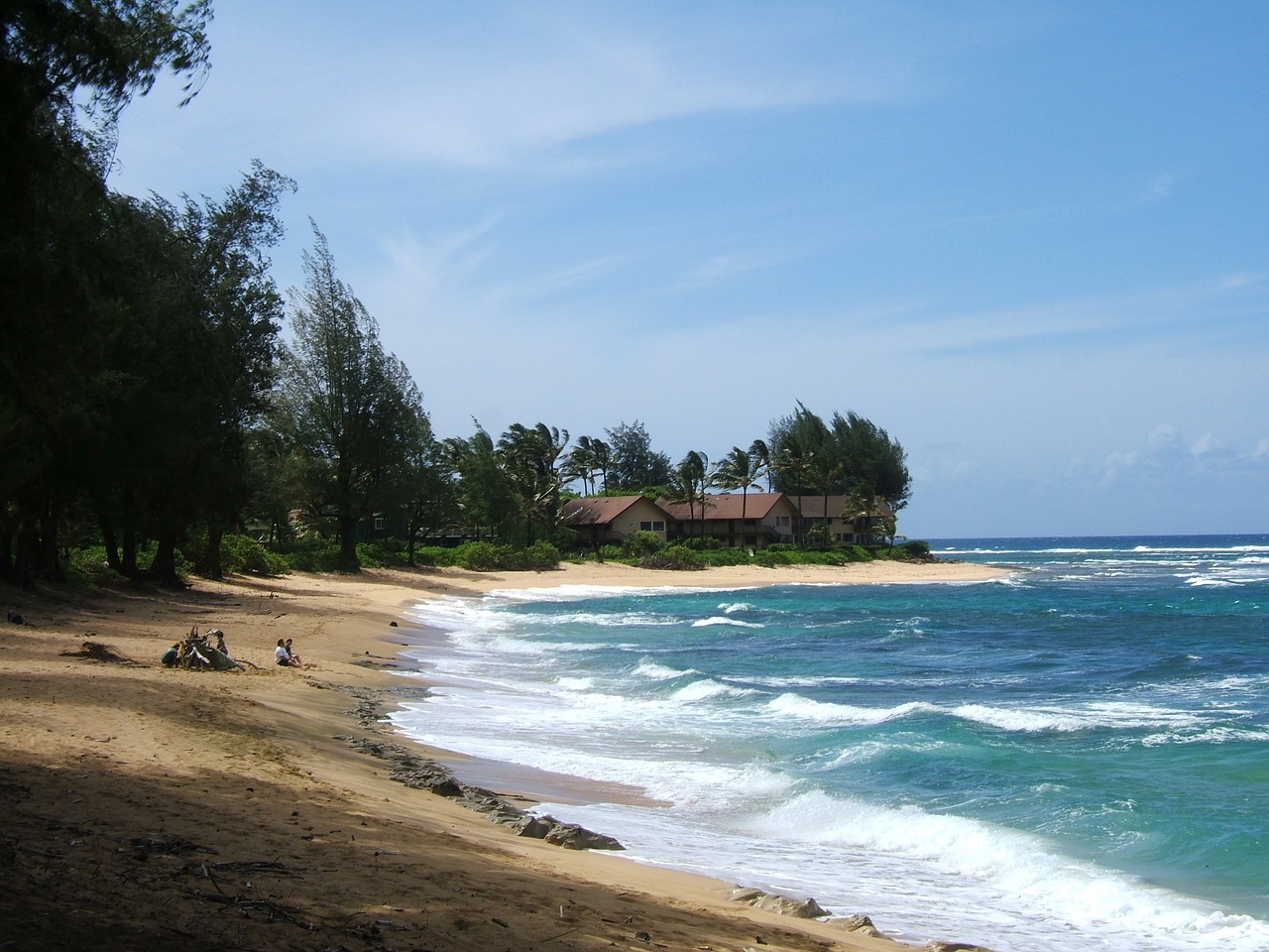 holiday beach hawaii free photo