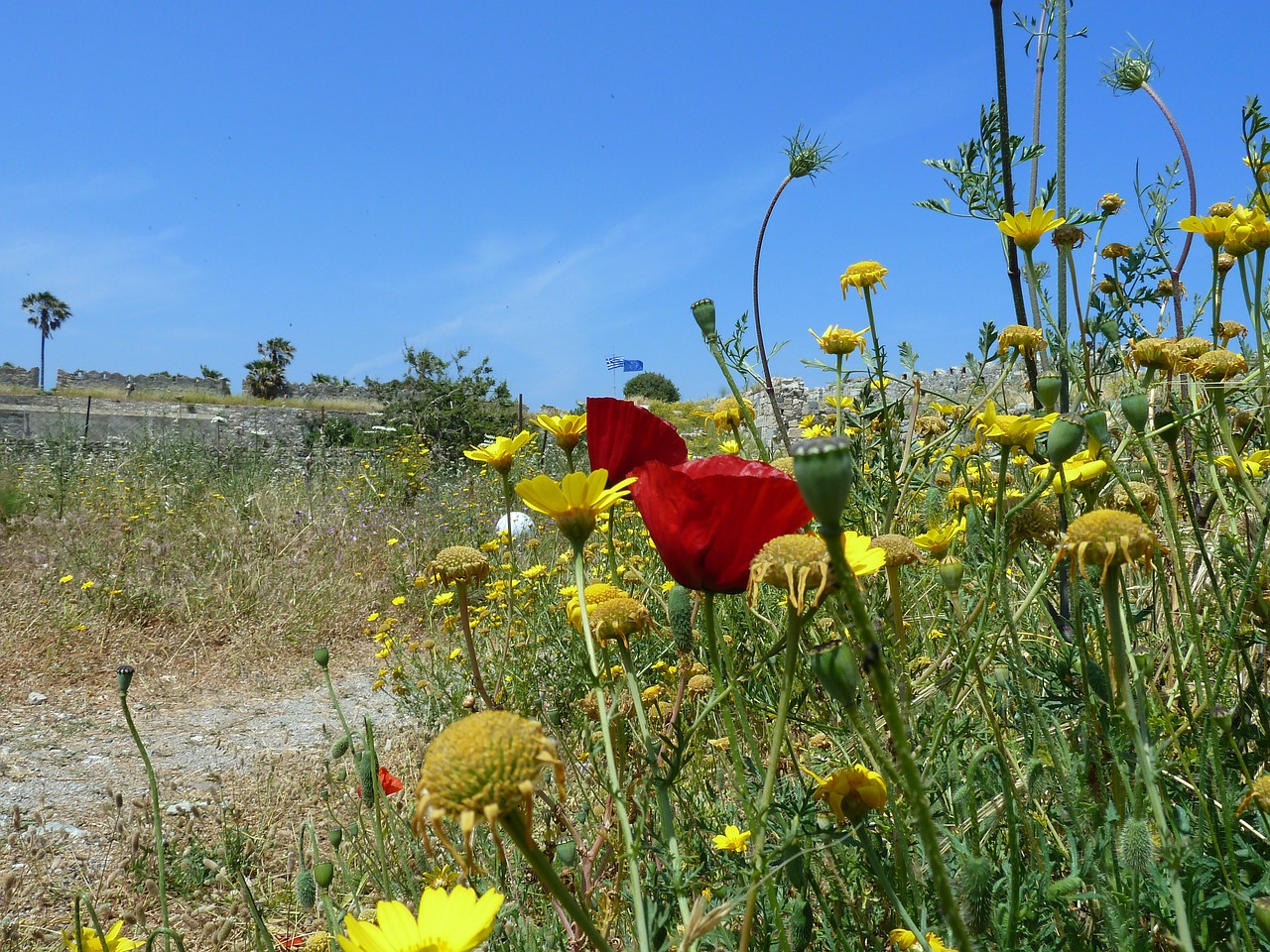 holiday south mediterranean free photo