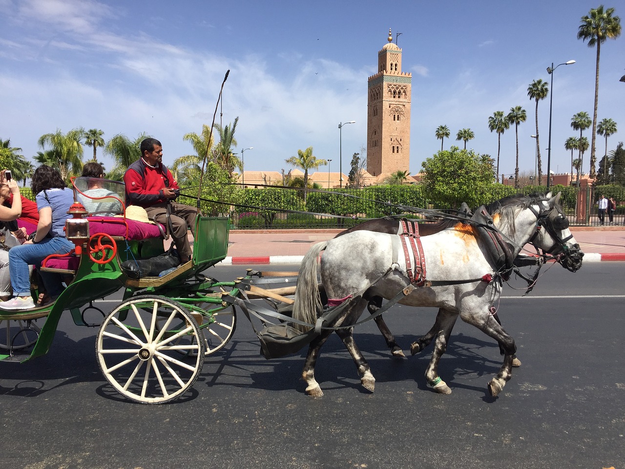 holiday marocco morocco free photo