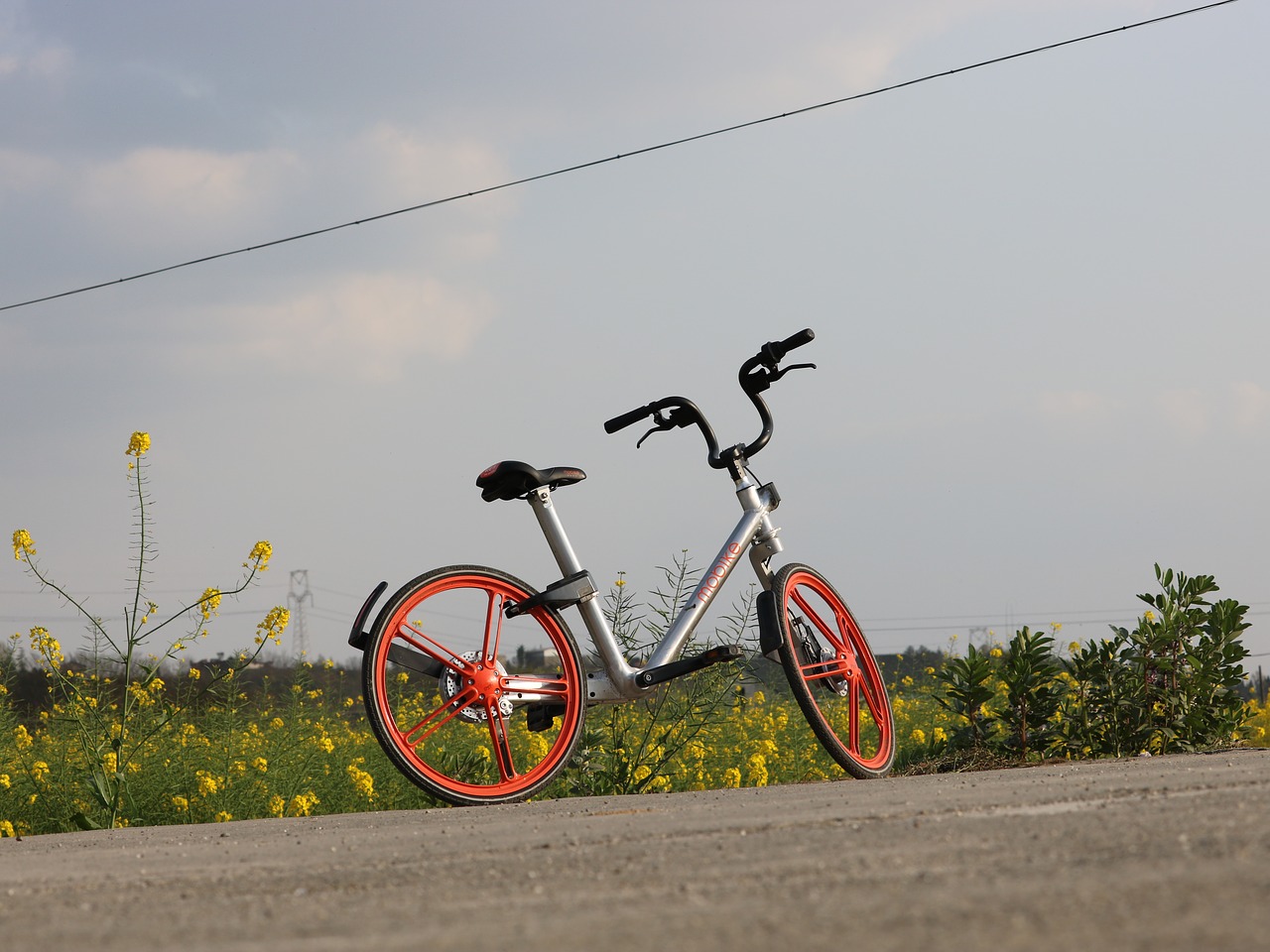 holiday bike transport free photo