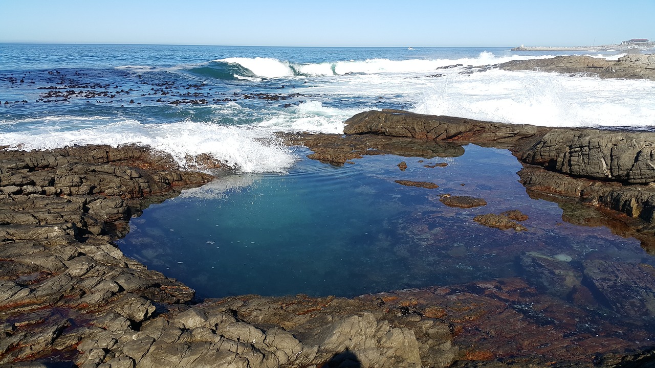 holiday rock pool sea free photo