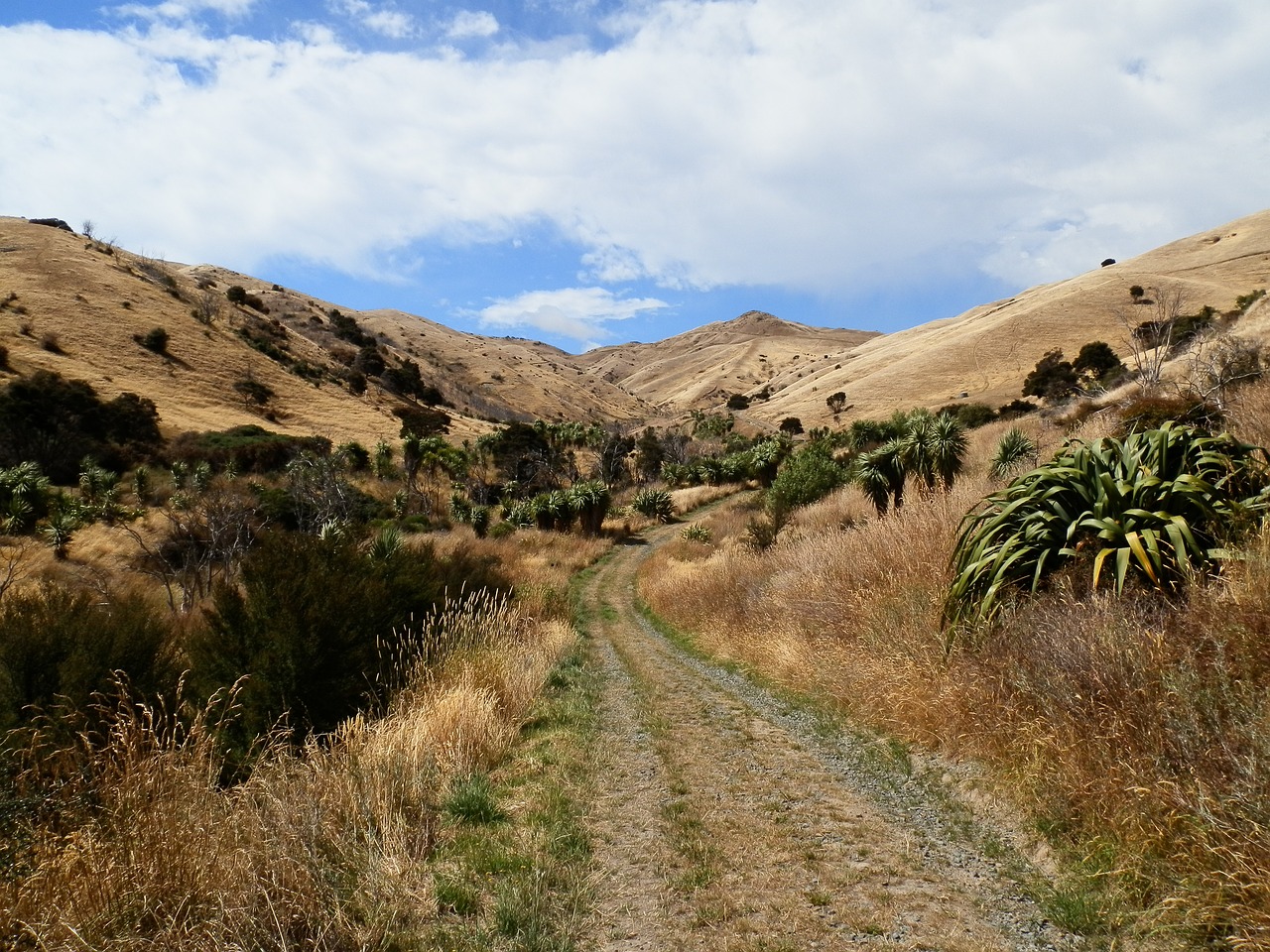 holiday landscape nature free photo