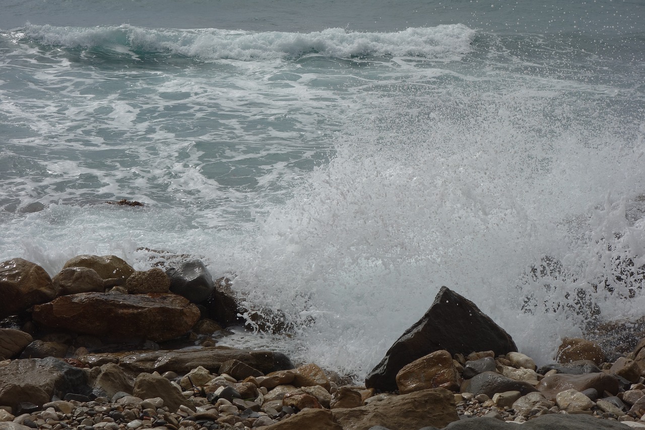 holiday water wave free photo