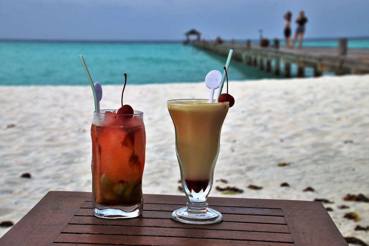 holiday the drink the tropical free photo