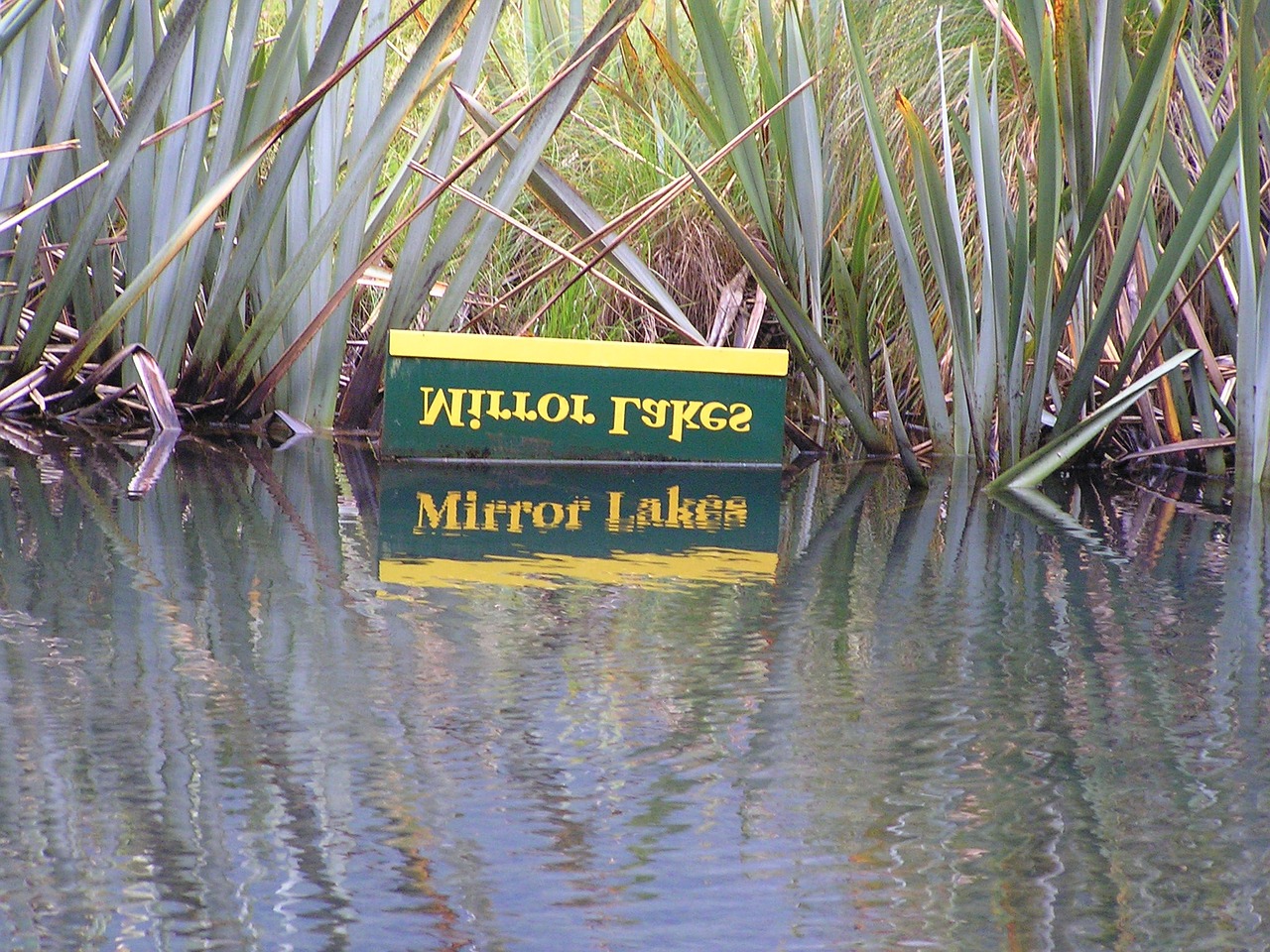 mirror water mirror lake free photo