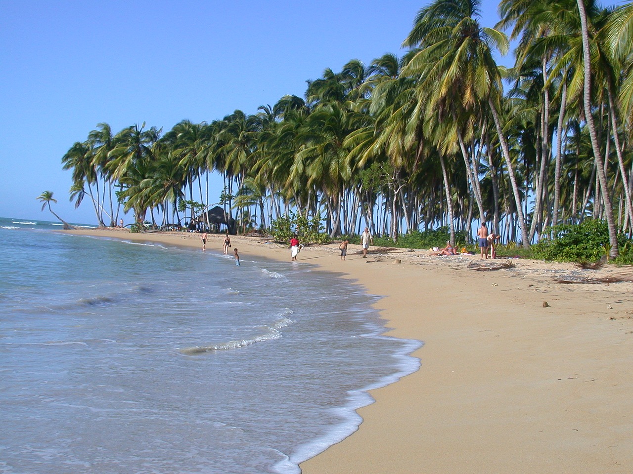 holiday by the sea atlantic dominican republic free photo