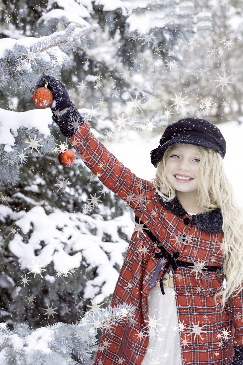 holiday fun snow winter free photo