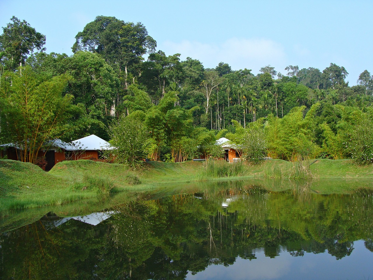 holiday home resort greenery free photo