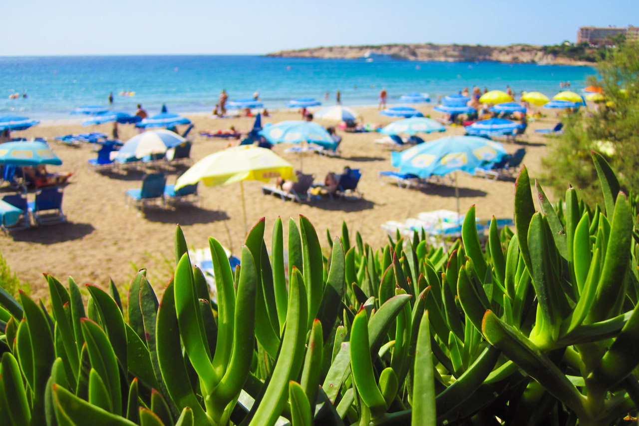 beach blue chairs free photo