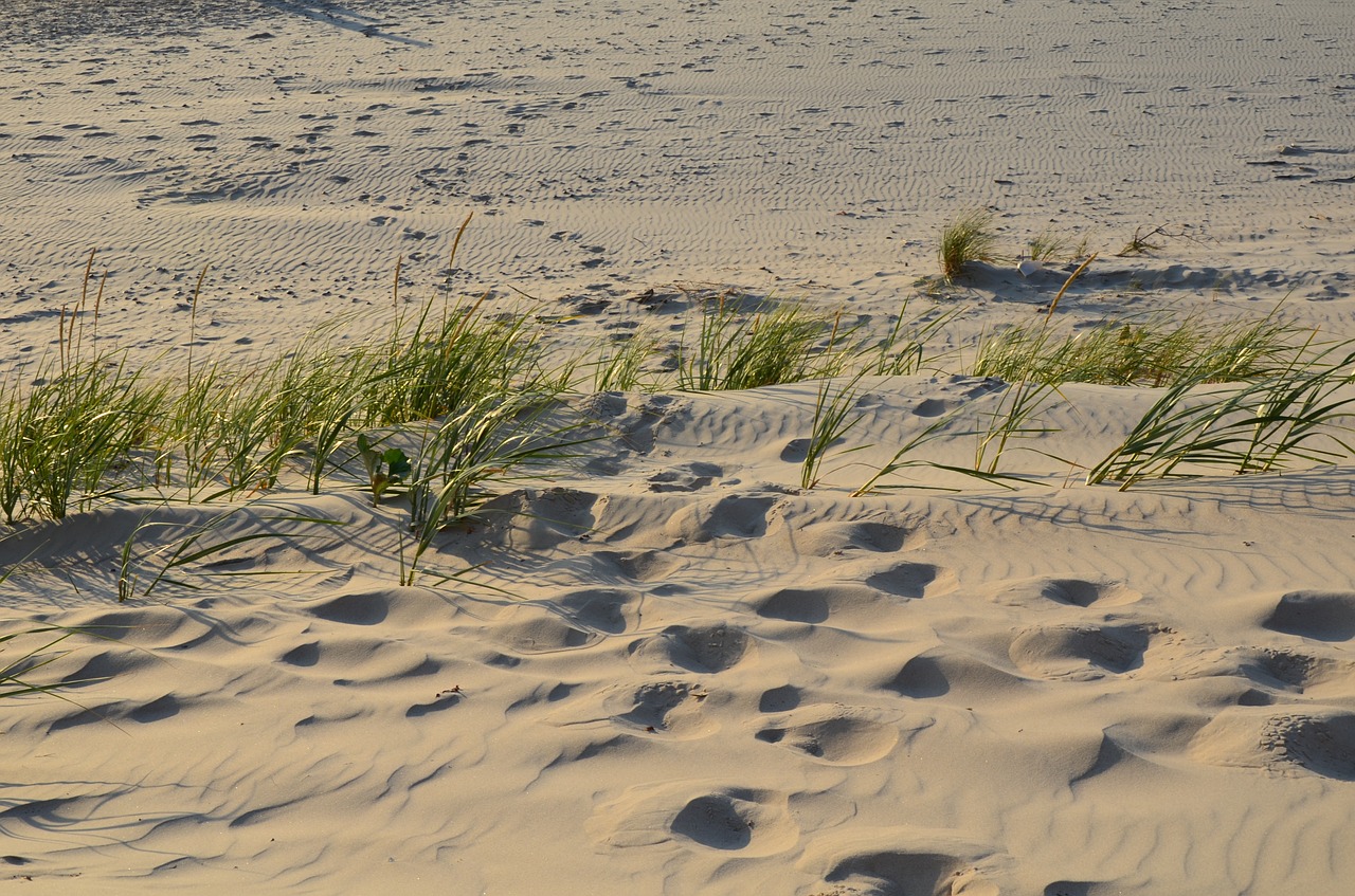 holidays  the baltic sea  sea free photo