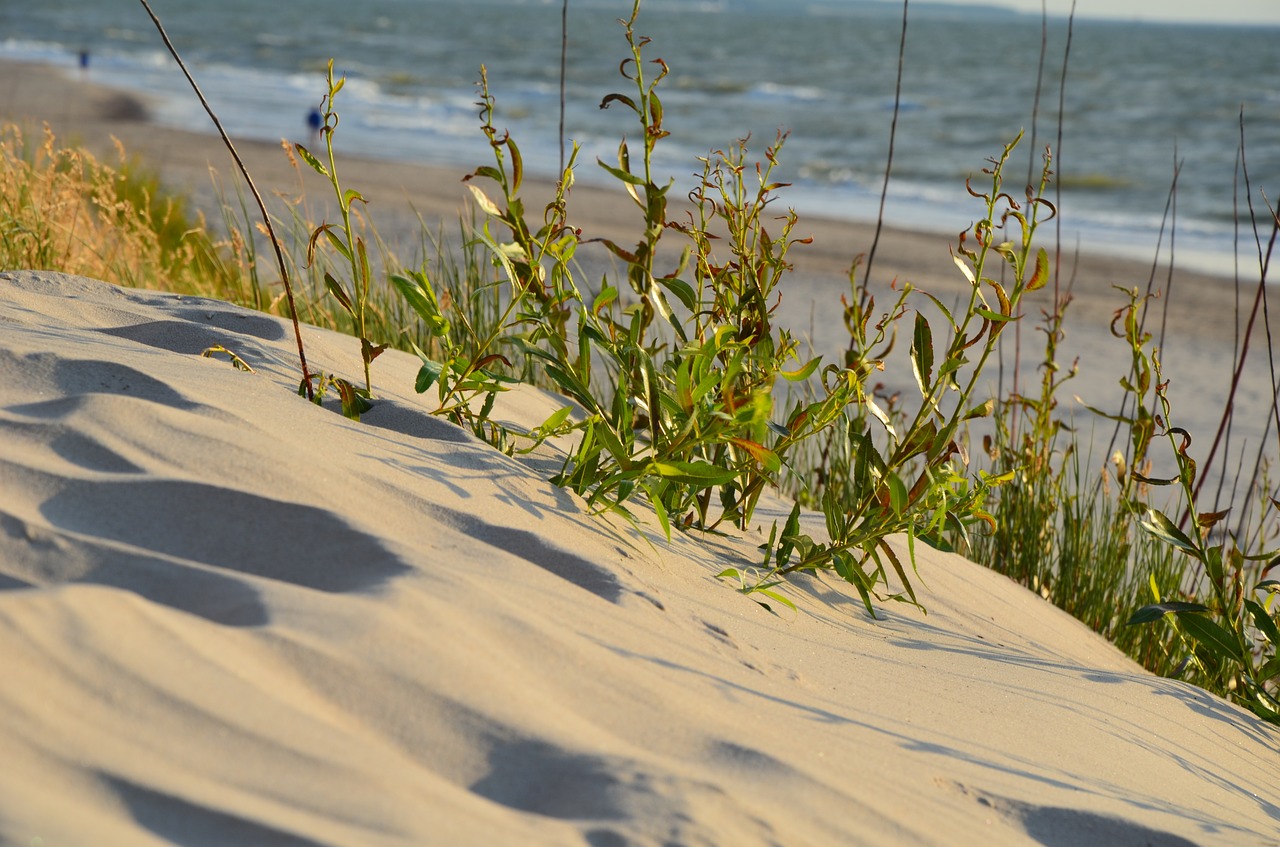 holidays  the baltic sea  sea free photo