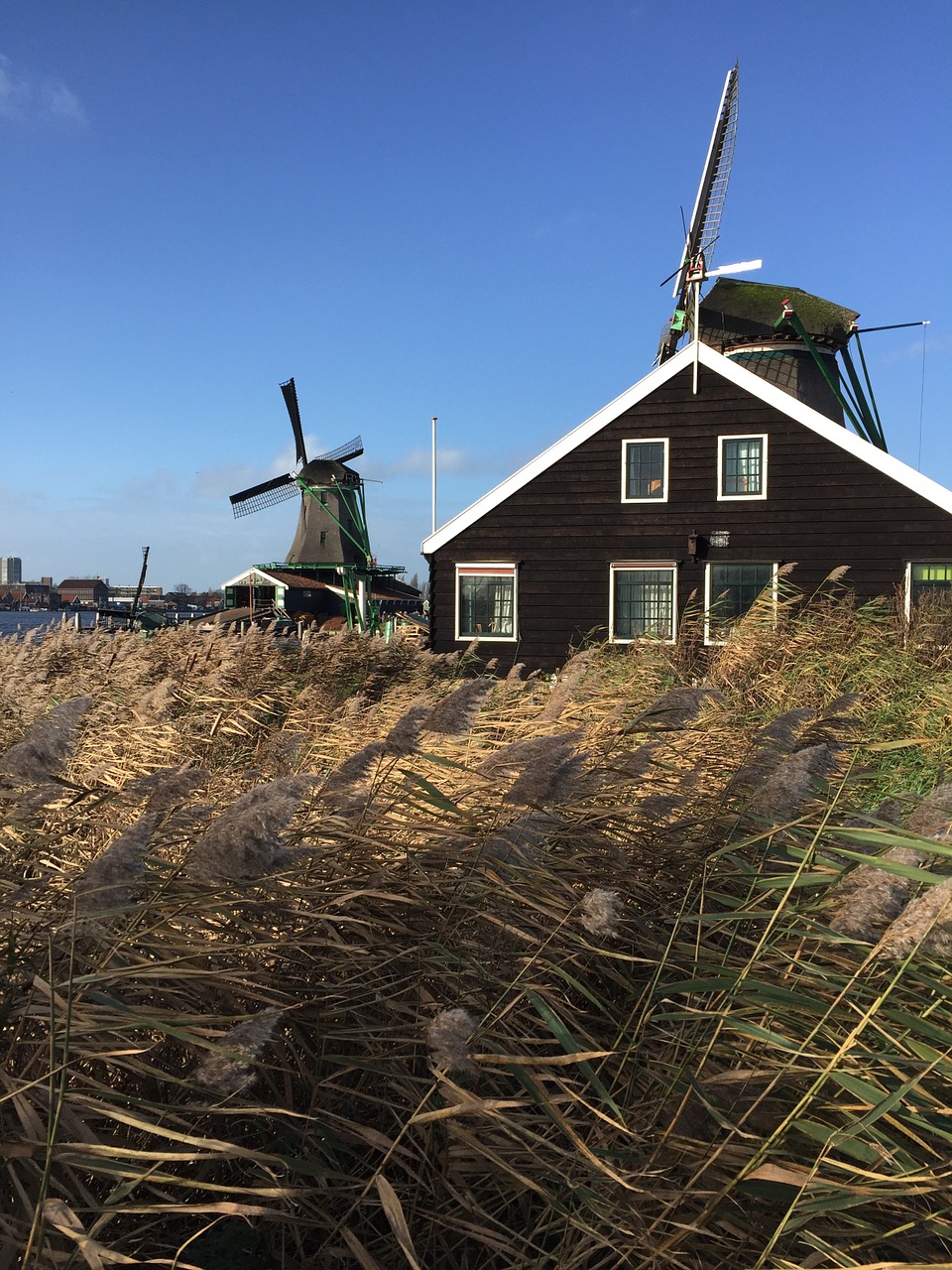 holland pinwheel windmill free photo