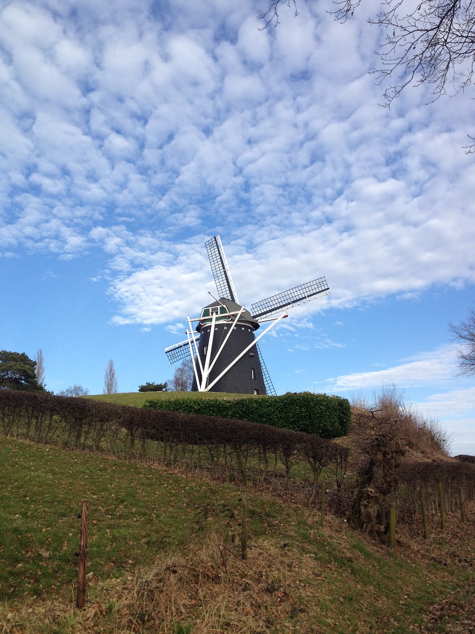 holland windmill netherlands free photo