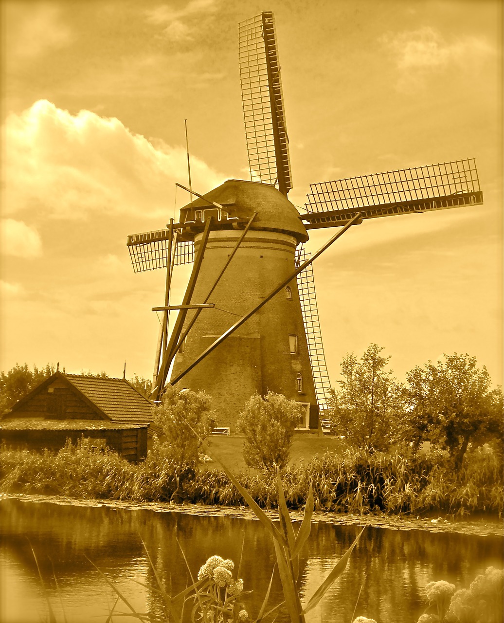 holland netherlands windmill free photo