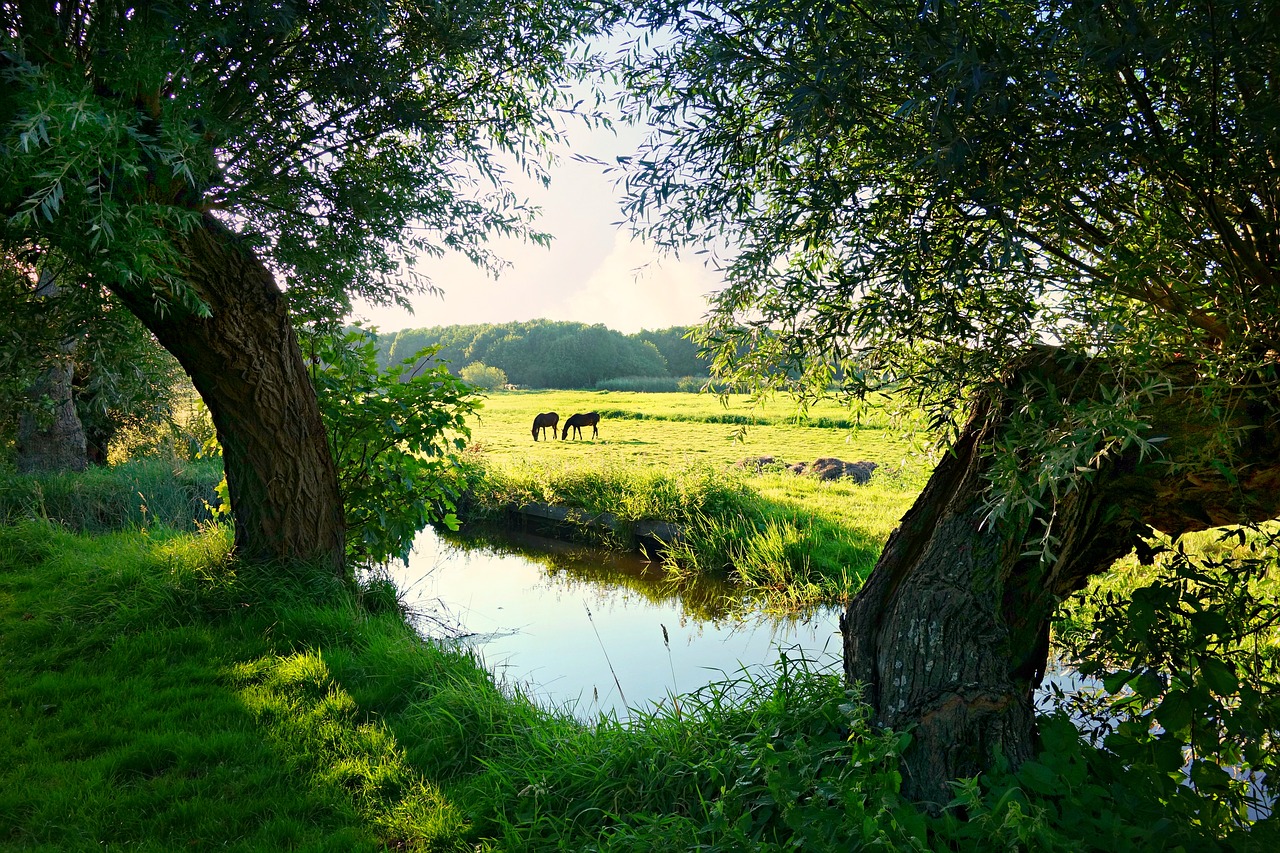 holland dutch landscape landscape free photo
