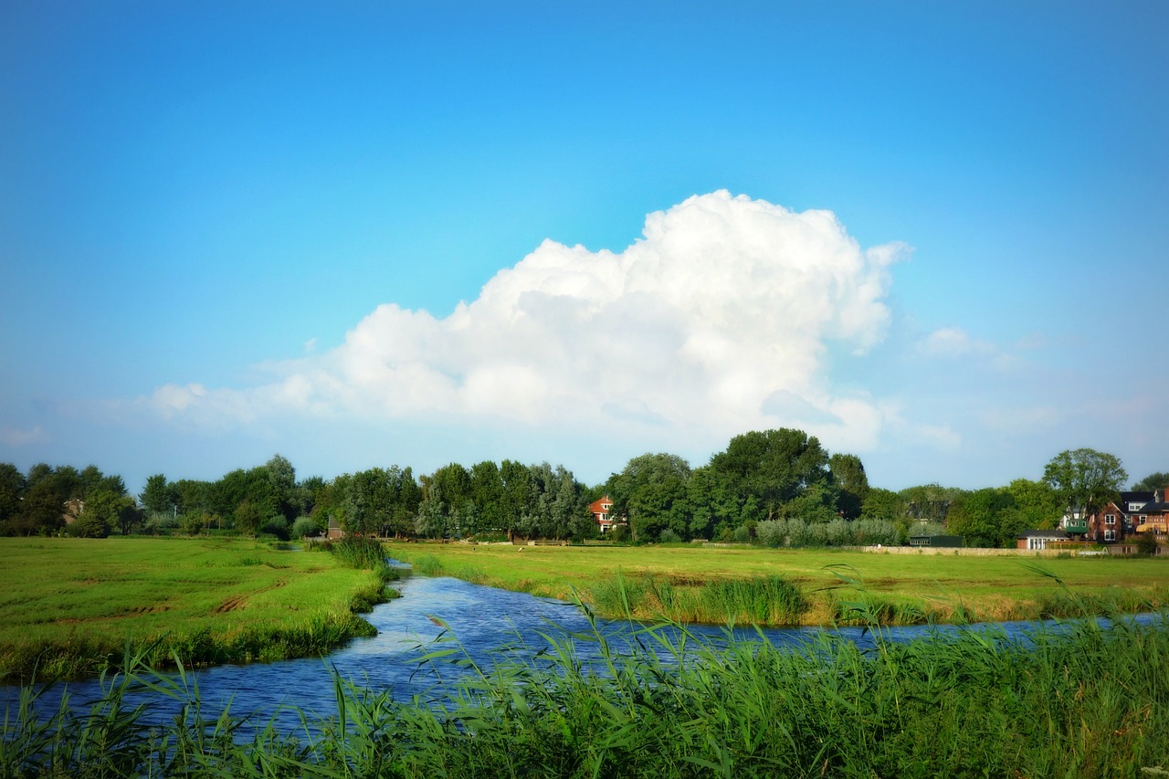 holland landscape dutch landscape free photo