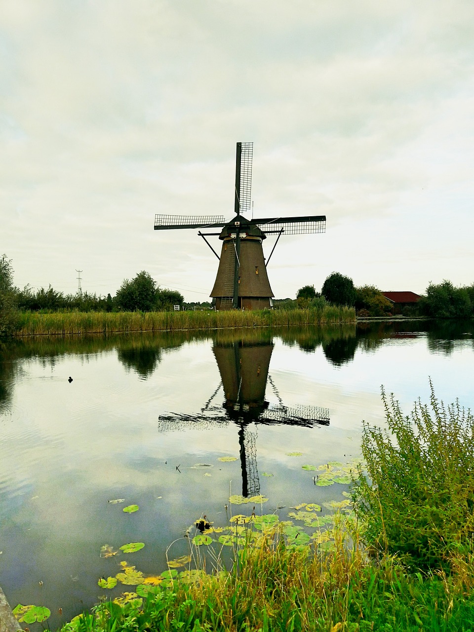holland autumn september free photo