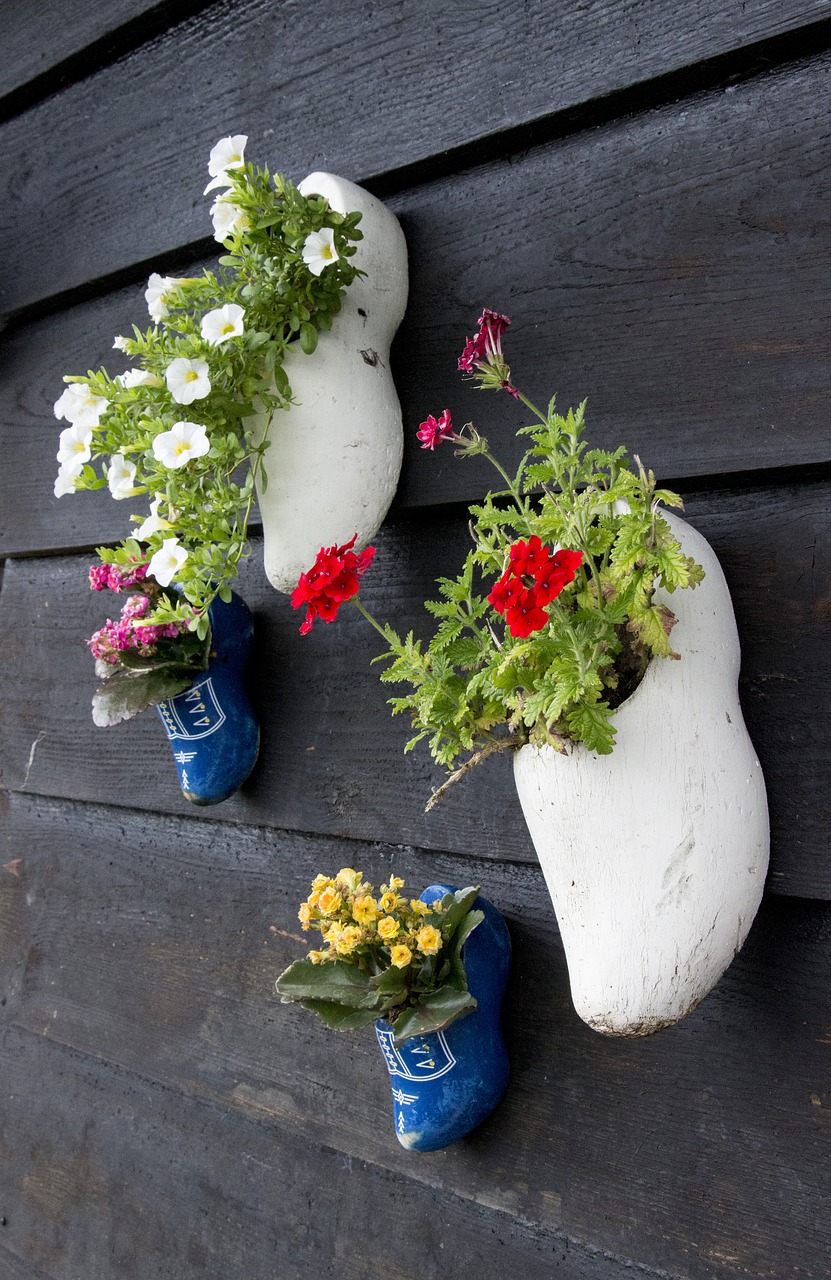 holland shoes flowerpot free photo