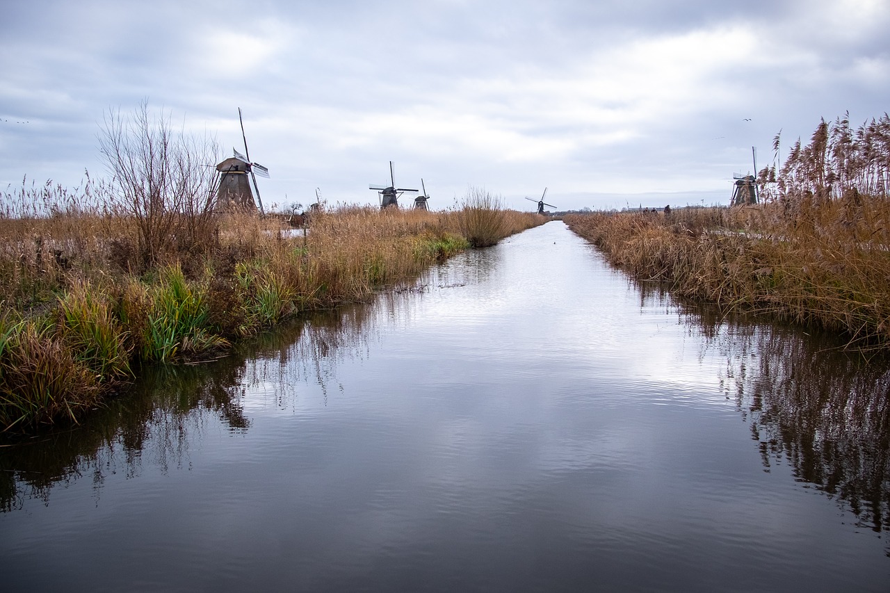 holland  kinderdijk  landscape free photo